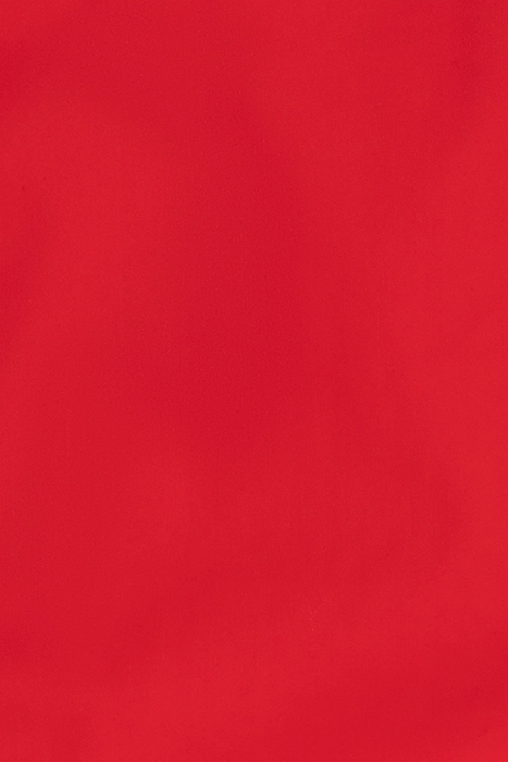 BIKINI MINI BOTTOM FLAME 3