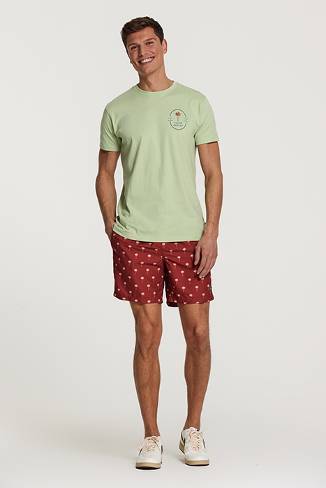 MEN TEE TULUM PALM FADED MINT GREEN 3