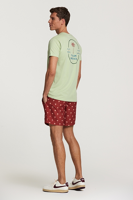 MEN TEE TULUM PALM FADED MINT GREEN 4