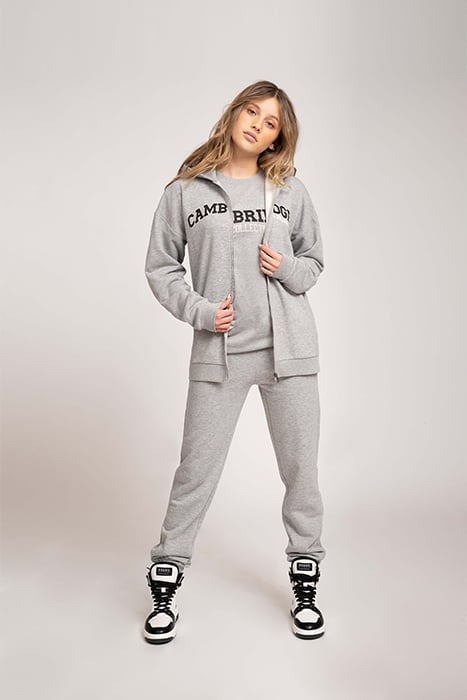 ONE CITY ZIP HOODIE LIGHT GREY MELANGE 1