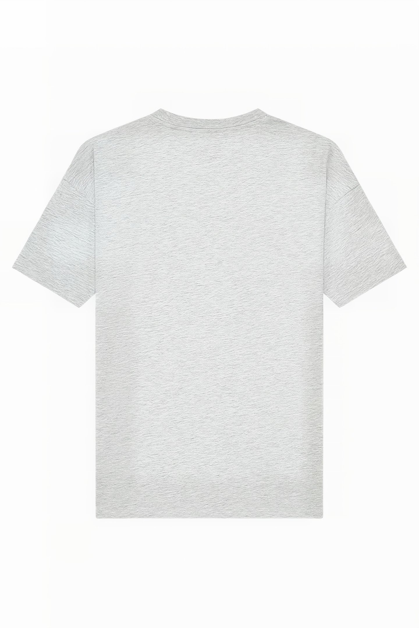 ONE CITY T-SHIRT LIGHT GREY MELANGE 4