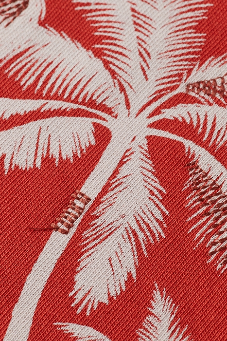 RELAXED FIT RAGLAN SLEEVED GRAPHIC SWEATSHIRT RUSTIC CORAL 3