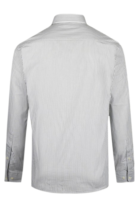 STRIPED POPLIN SHIRT DARK SAGE 2