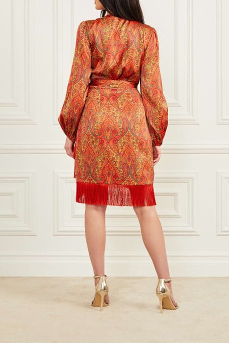 MORRIS DRESS PAISLEY PRINT 3