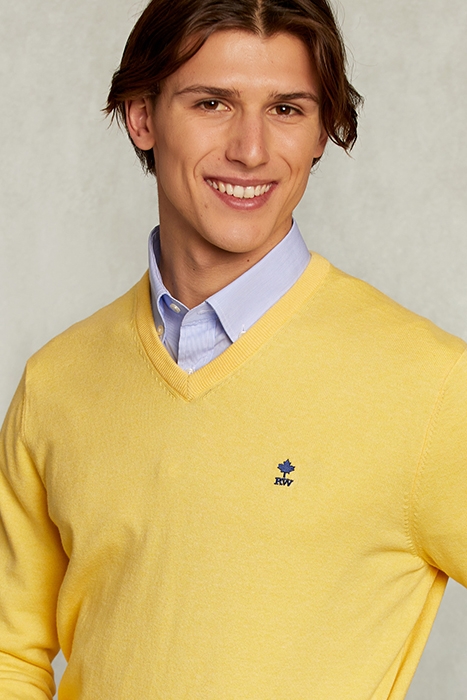 NORMAL FIT BASIC COTTON V-NECK PULLOVER BUTTERFLY MIX YELLOW 4