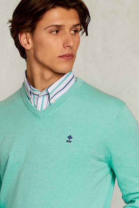 NORMAL FIT BASIC COTTON V-NECK PULLOVER GIMLET MIX GREEN 4