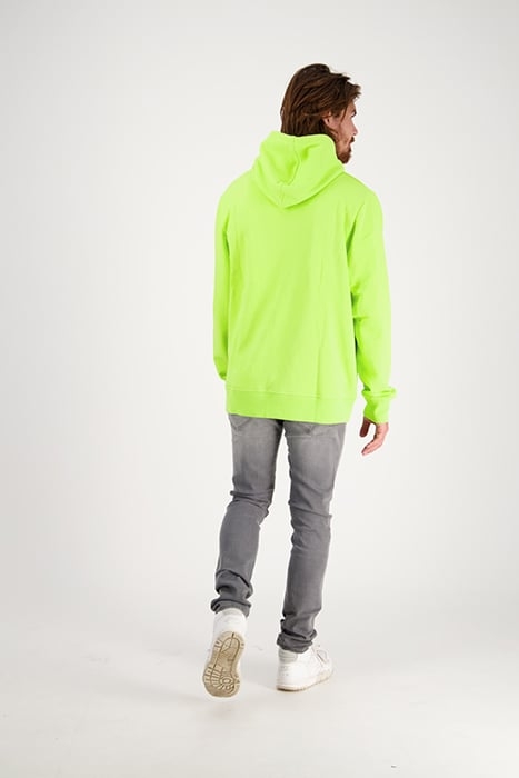 NEWTON SWEATER LIZARD GREEN 4