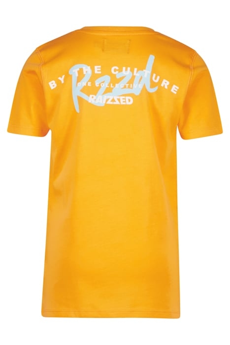 BOYS SUNRAY T-SHIRT FRUIT ORANGE 2