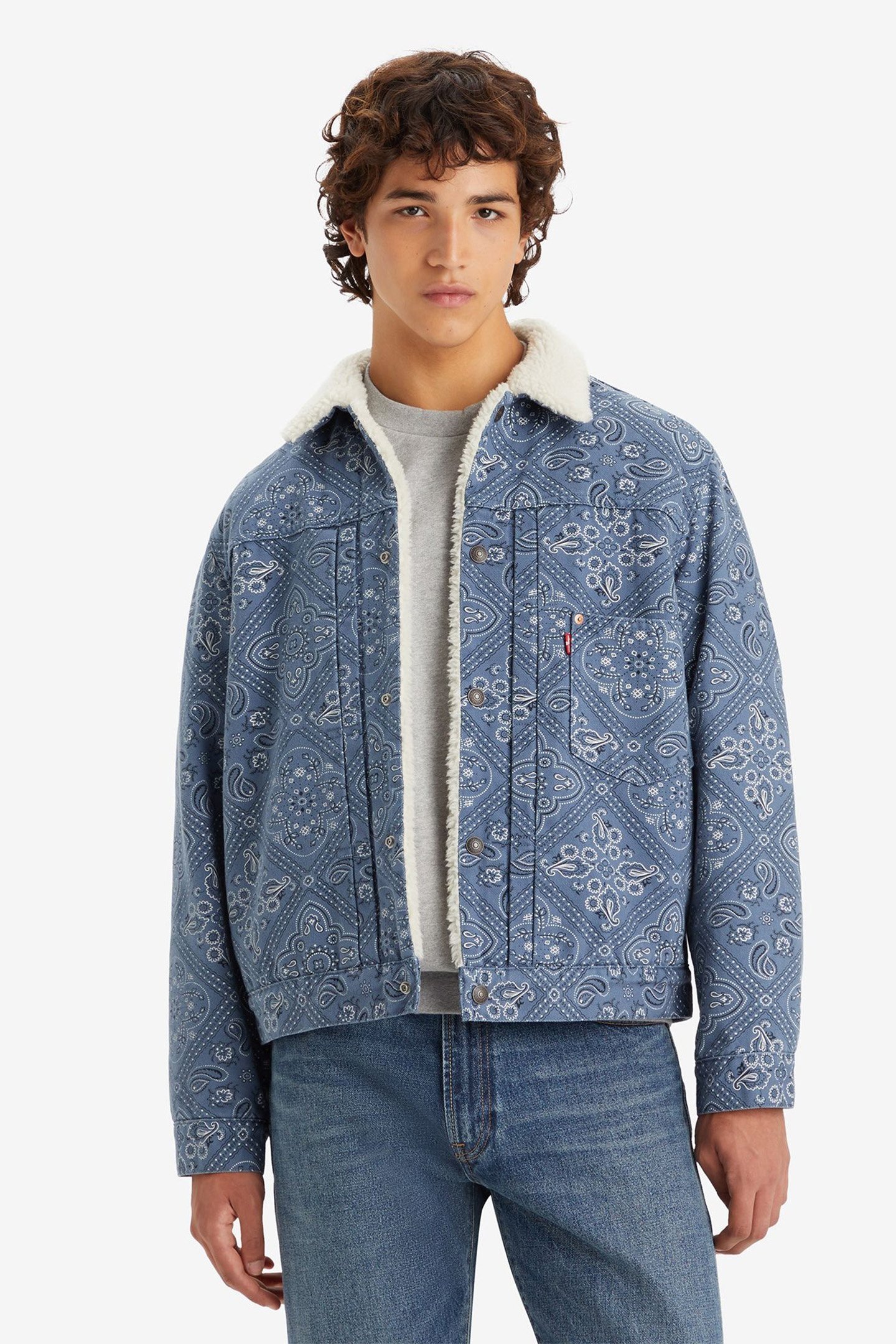 TYPE I SHERPA TRUCKER JACKET 1