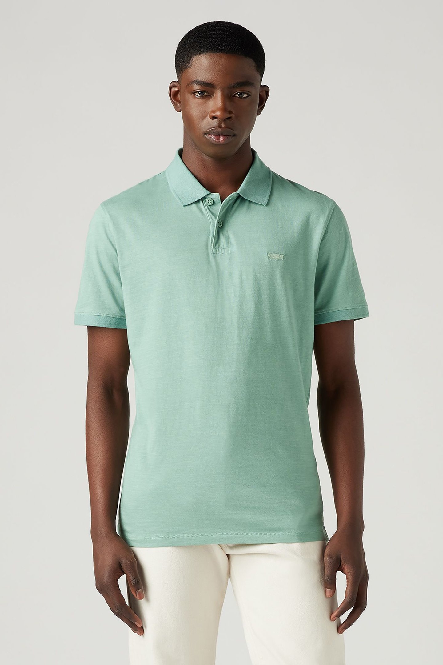 SLIM HOUSEMARK POLO 1