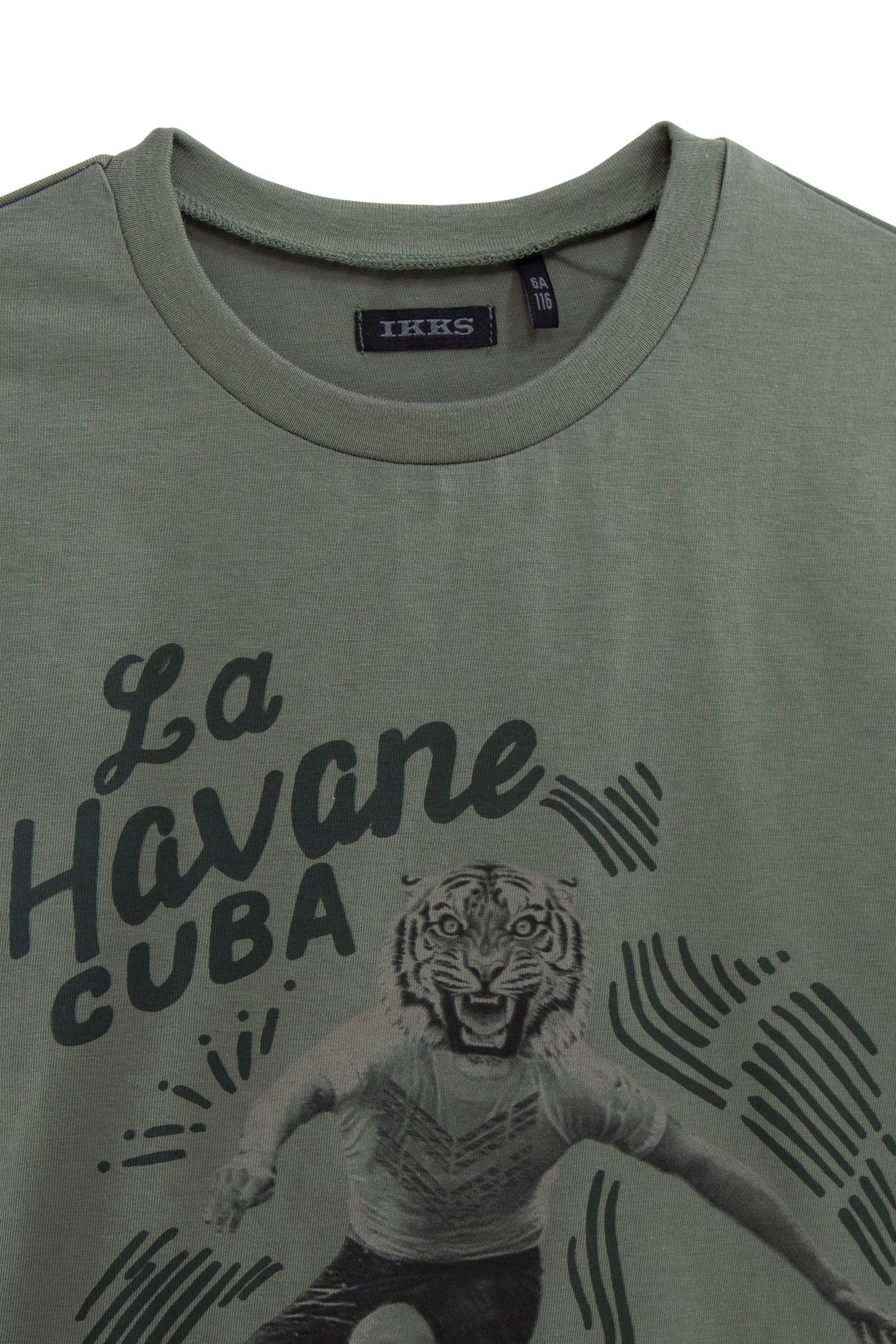 BOYS’ KHAKI T-SHIRT WITH TIGER-SURFER IMAGE 3