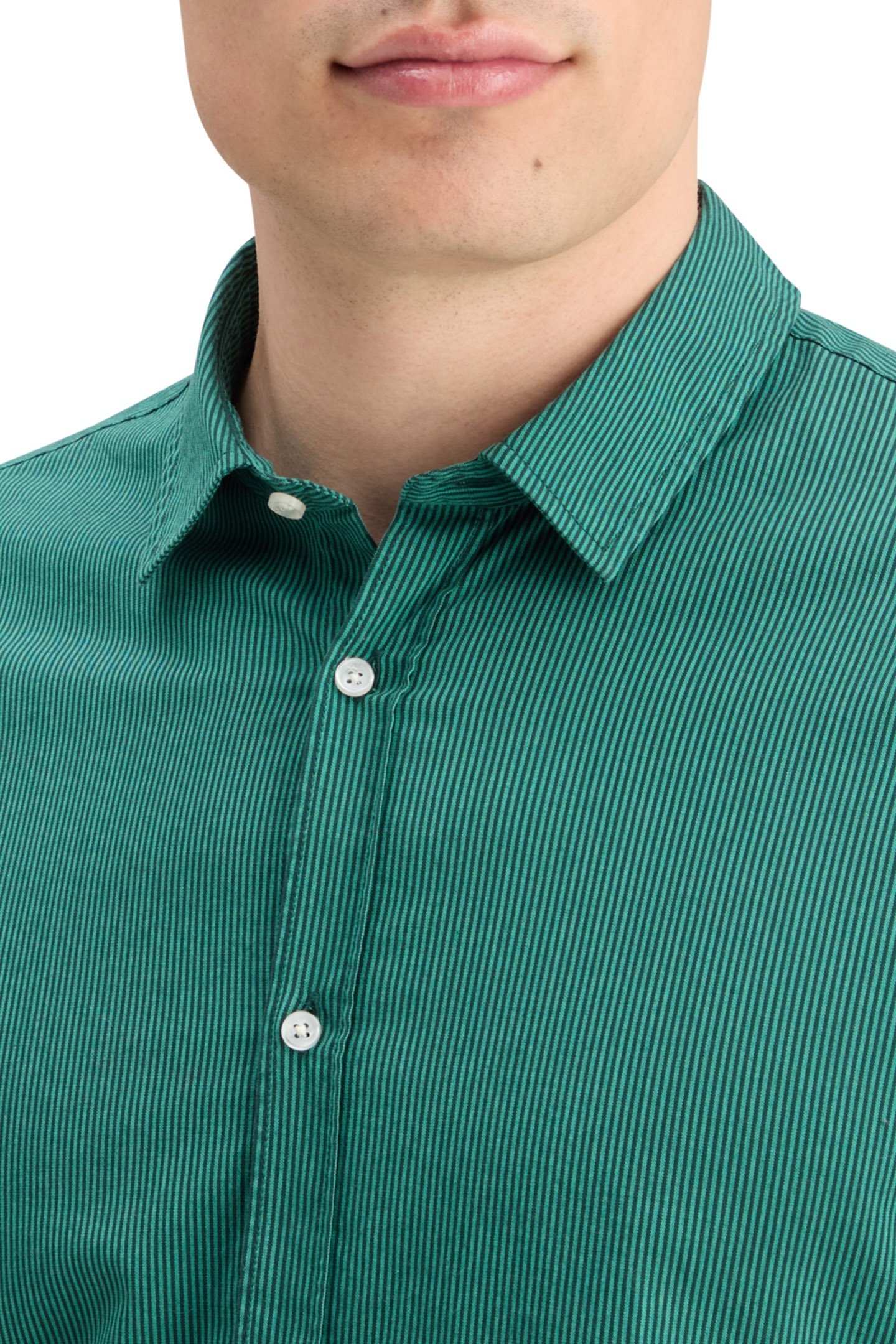 ESSENTIAL POPLIN STRIPE GREEN STRIPE 8