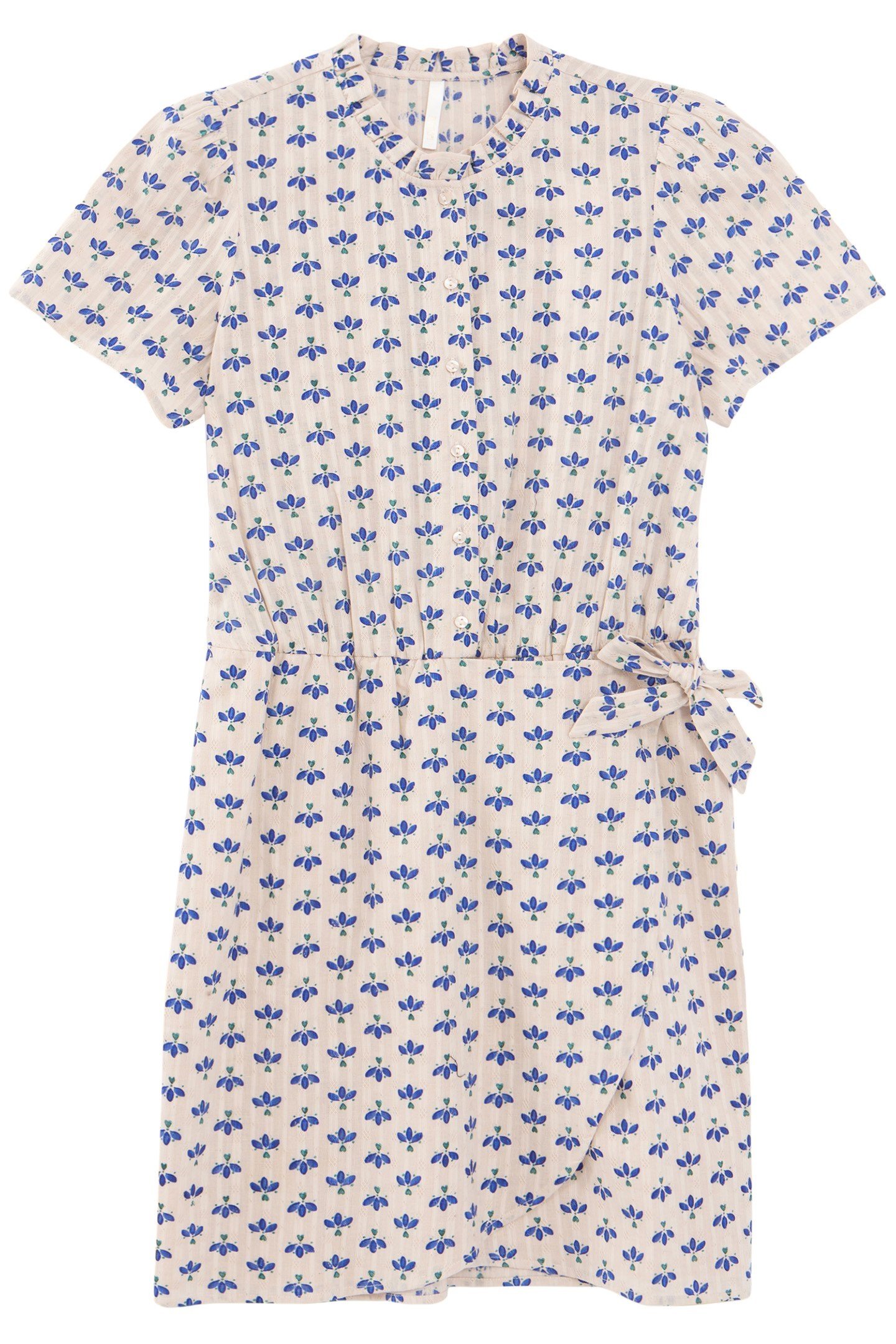 OFF-WHITE DRESS WITH BLUE PETAL PRINT 4