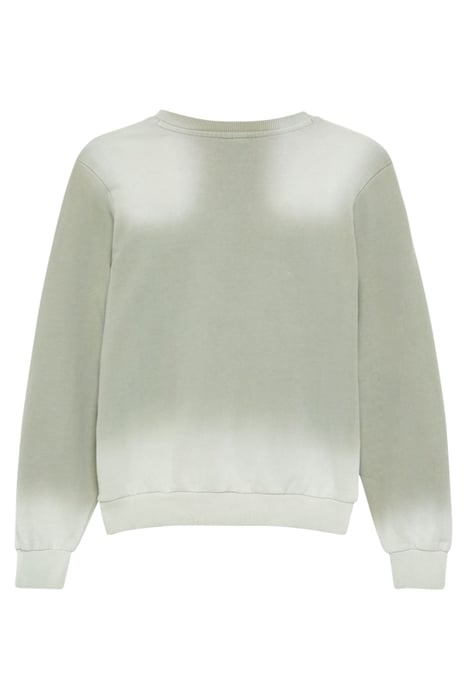 S.OLIVER JUNIOR SWEATSHIRTS GREEN 2