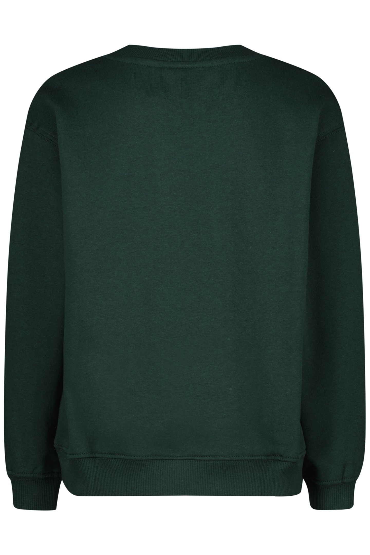 BOYS NAIL SWEATER RACING GREEN 2