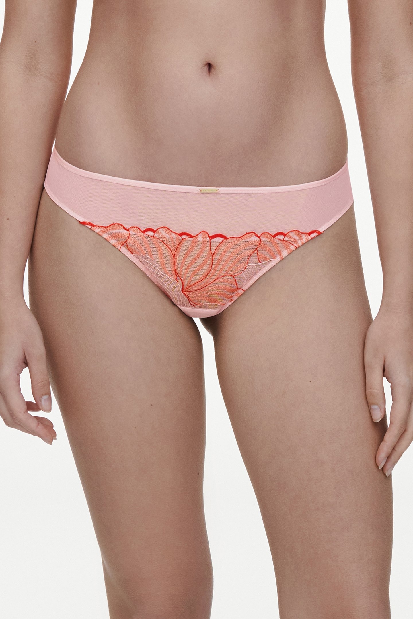 LEGEND TANGA MULTICOLOR 1