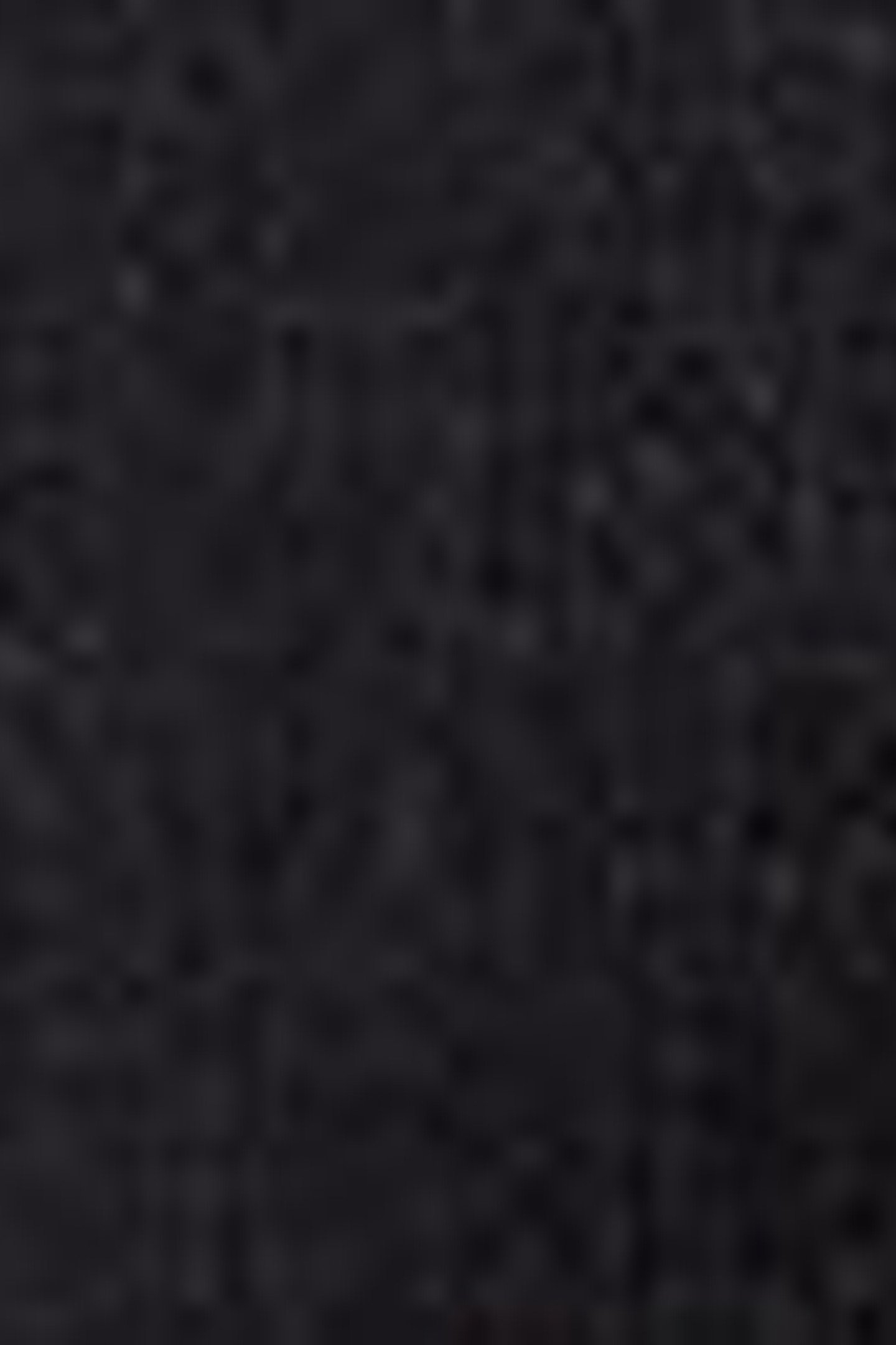 RIBCAGE BELLS CORSET BLACK 4