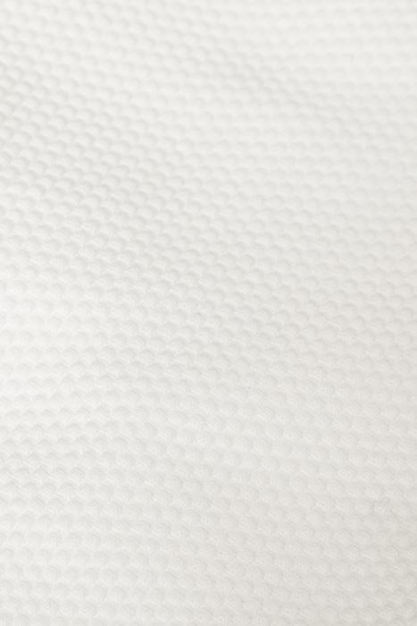 Lazy Image