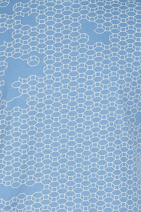 Lazy Image
