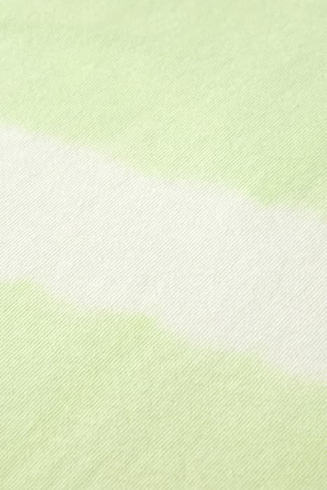 Lazy Image