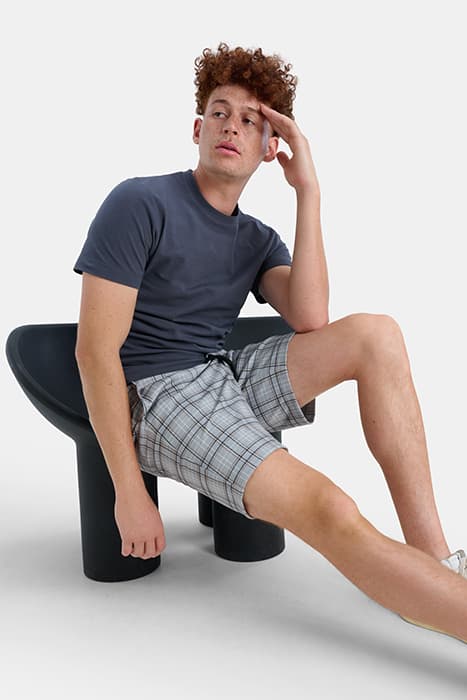 Lazy Image