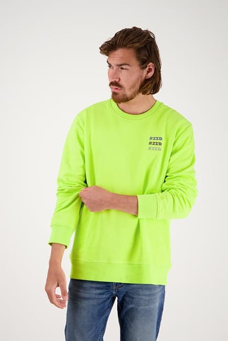 Lazy Image