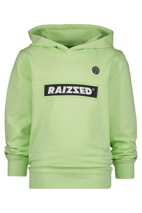 Lazy Image