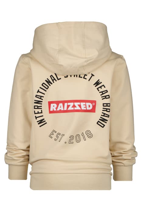 Lazy Image