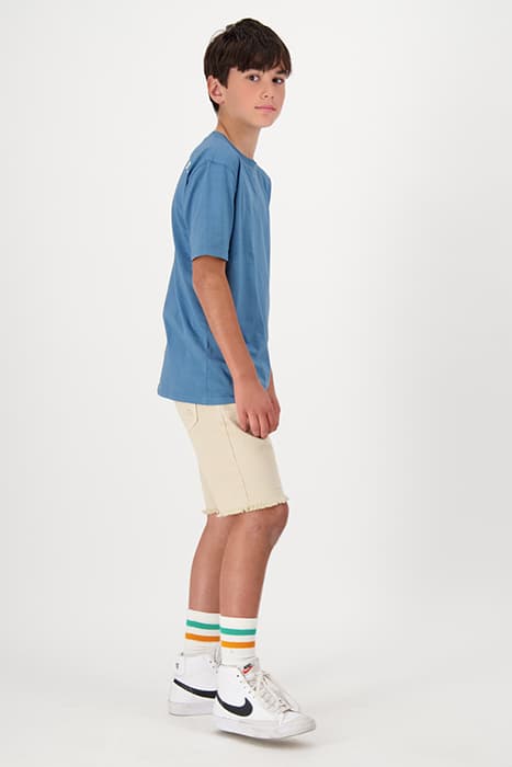 Lazy Image