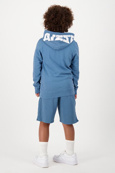 Lazy Image
