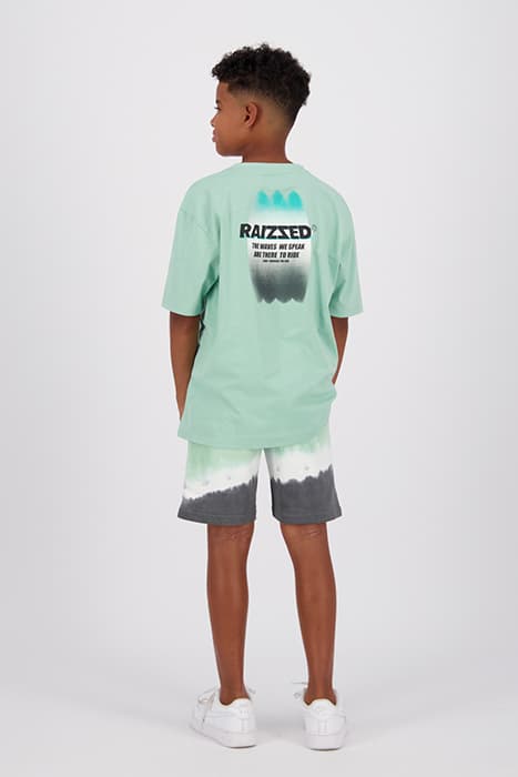 Lazy Image