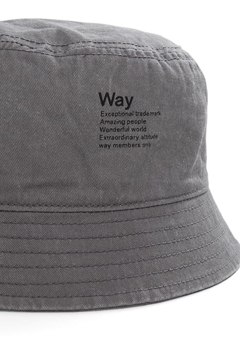 Lazy Image