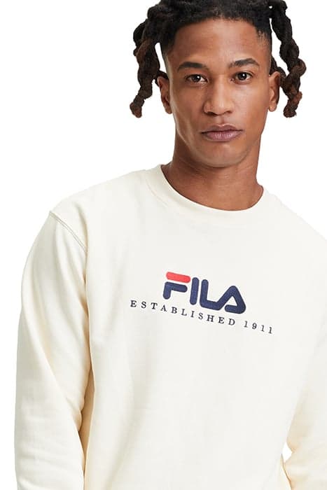 Lazy Image