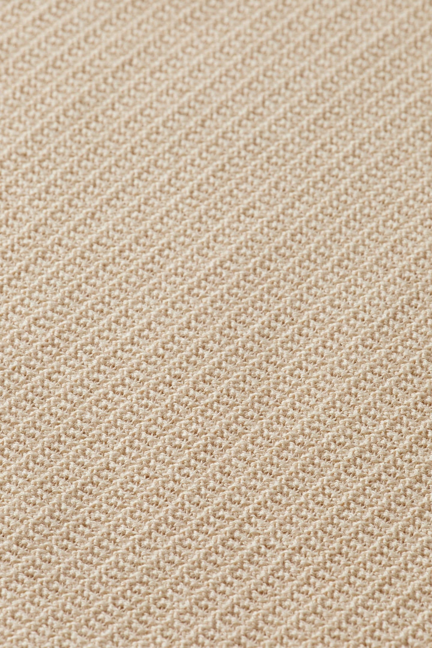 Lazy Image