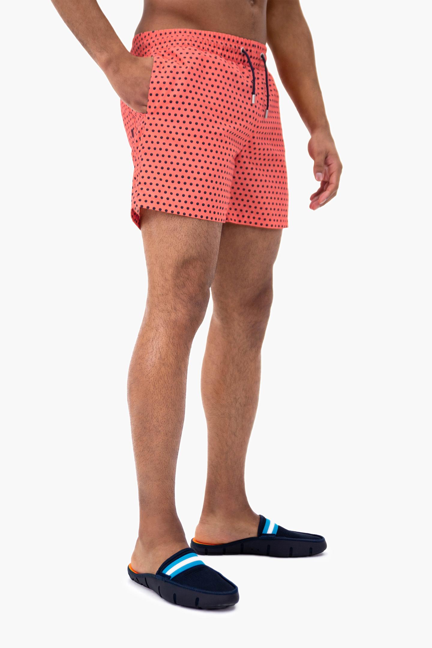 Lazy Image