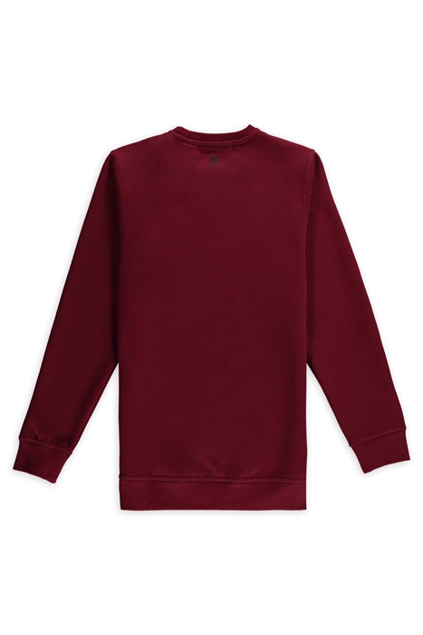 ASPACT CIRCLE SWEATSHIRT RHUBARB 2