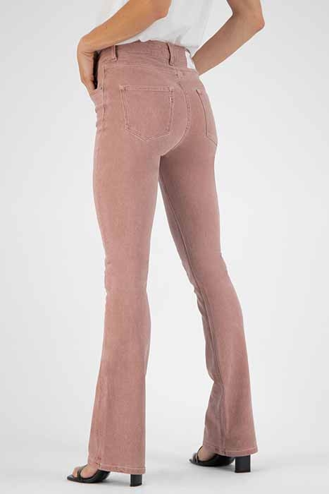 FLARED HAZEN TERRA 4