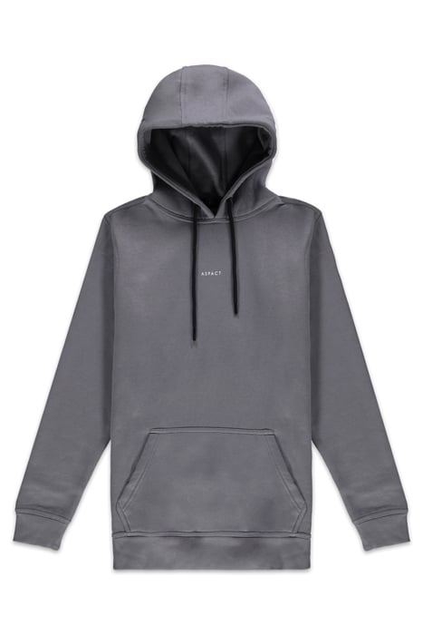 ASPACT BACK LOGO HOODIE QUICK SILVER 1
