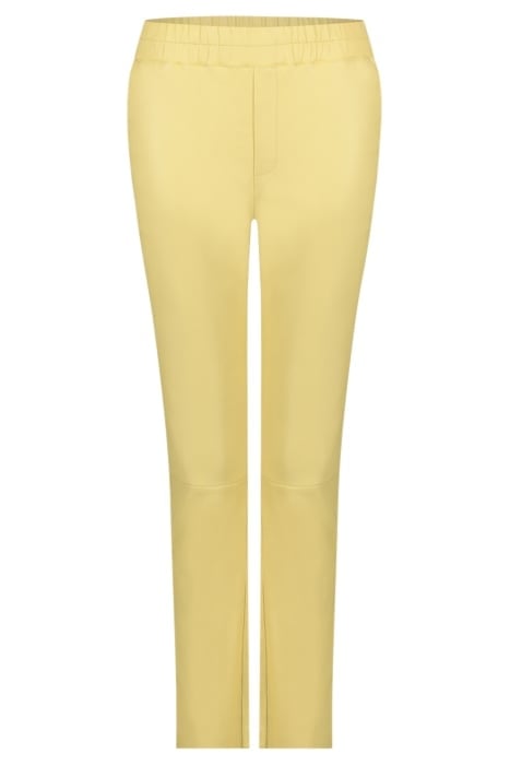 PABLO BUTTERY YELLOW 3