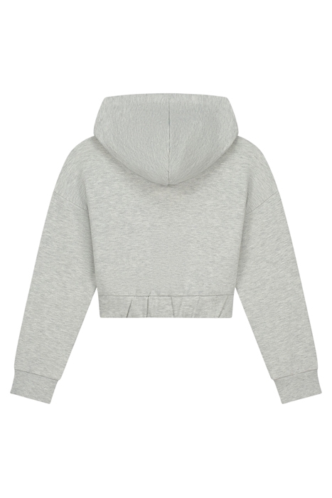 LIMITED HOODIE LIGHT GREY MELANGE 2
