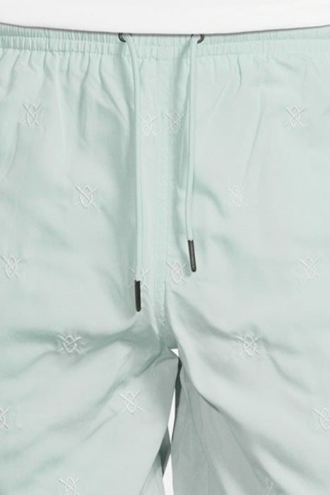 PASTEL TURQUOISE ESWIM SHORTS 5