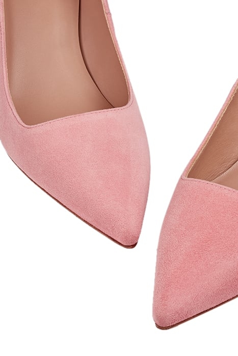 CC BEATRICE LOW POINT CORAL 4