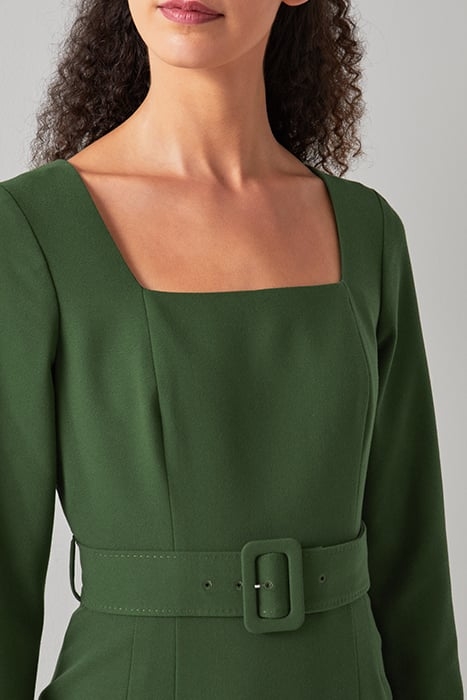 DR CARRINGTON FOREST 5