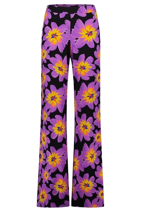 JOSH PALAZZO PANTS PURPLE 2