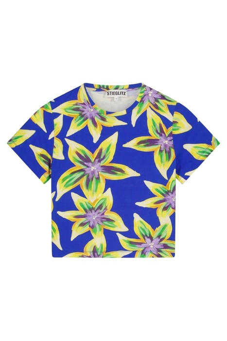 ESTHIS CROPPED T-SHIRT MULTI 3