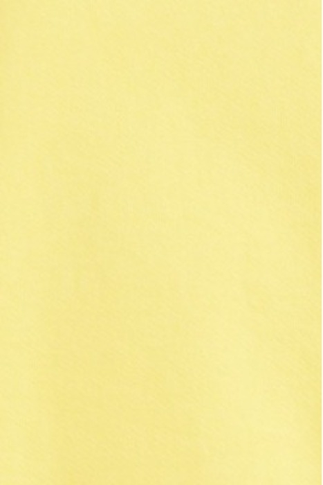 ROUND COLLAR SHORT-SLEEVES SWEATSHIRT ANANAS VINTAGE 5