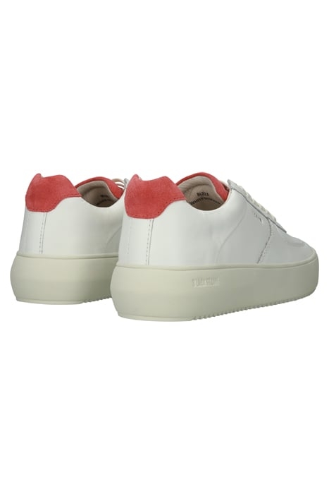 MARLY - BL223 WHITE BEGONIA - SNEAKER (LOW) WHITE BEGONIA 8