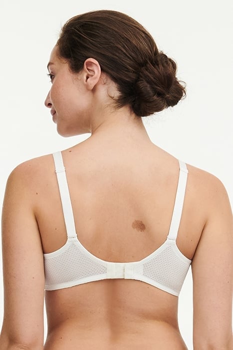 FLEURS MULTICOLORE 2