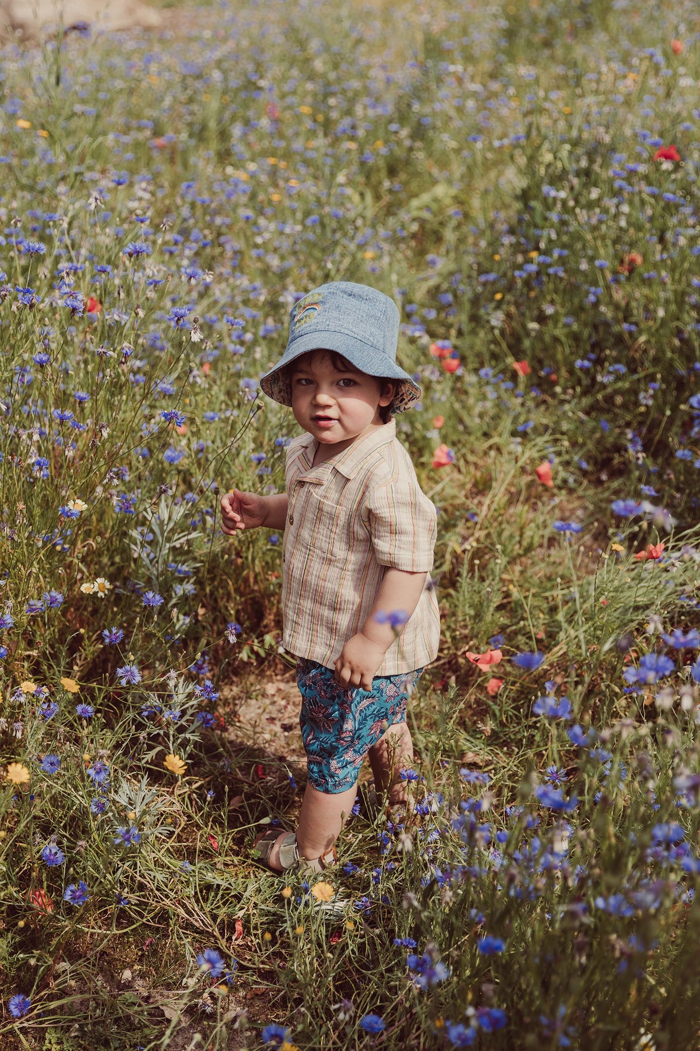 SHIRT ALOV MULTICO RAINBOW LINE 3