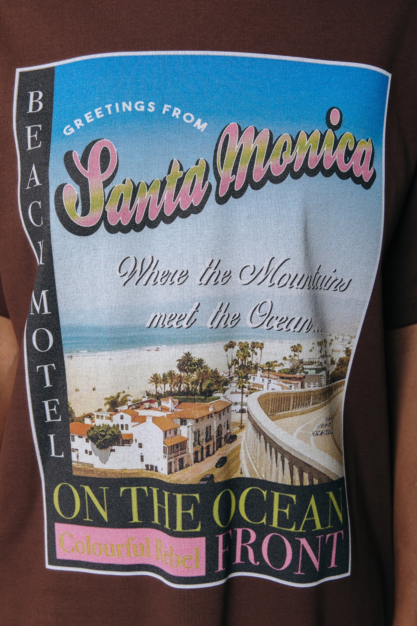 SANTA MONICA LOOSEFIT TEE DRESS BROWN 4